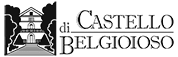 Logo-Castello
